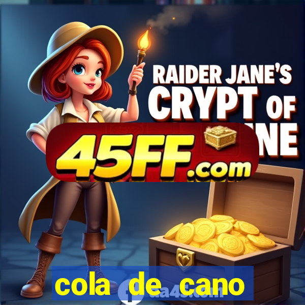 cola de cano quanto tempo para secar